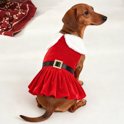Doggy Christmas Dress