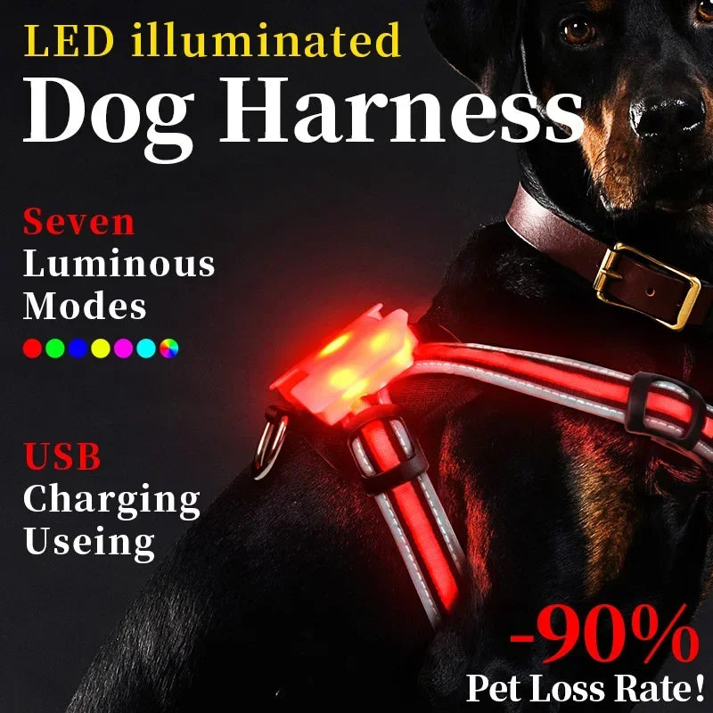 Rechargeable Waterproof Doggy LED Harness