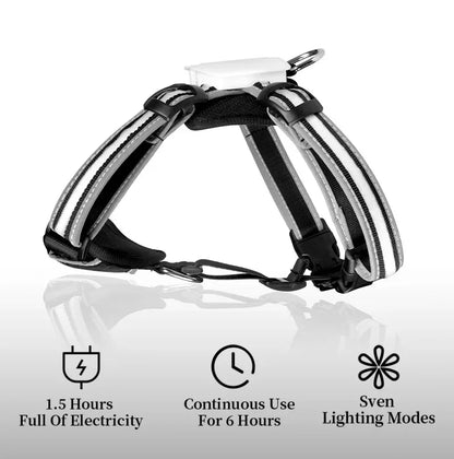 Rechargeable Waterproof Doggy LED Harness