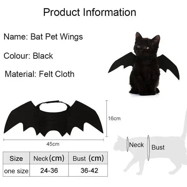 Cat Bat Wings Carrier Costume