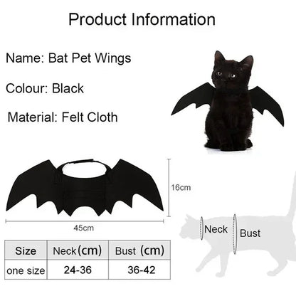 Cat Bat Wings Carrier Costume
