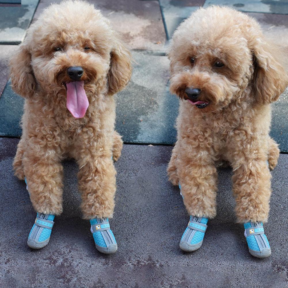 4Pcs Pet Shoes
