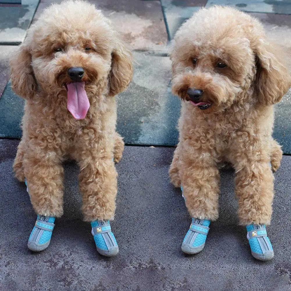 4Pcs Pet Shoes