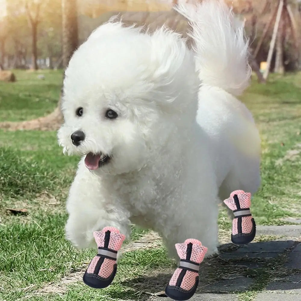 Soft Dog Mesh Shoes