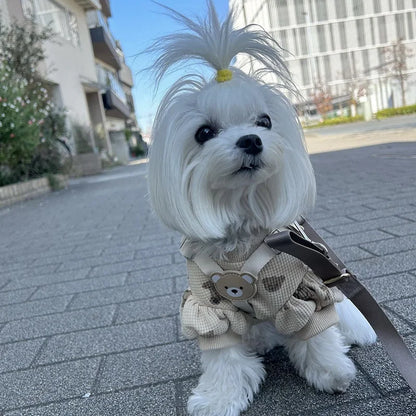 Pet Harness and Leash Set - Small