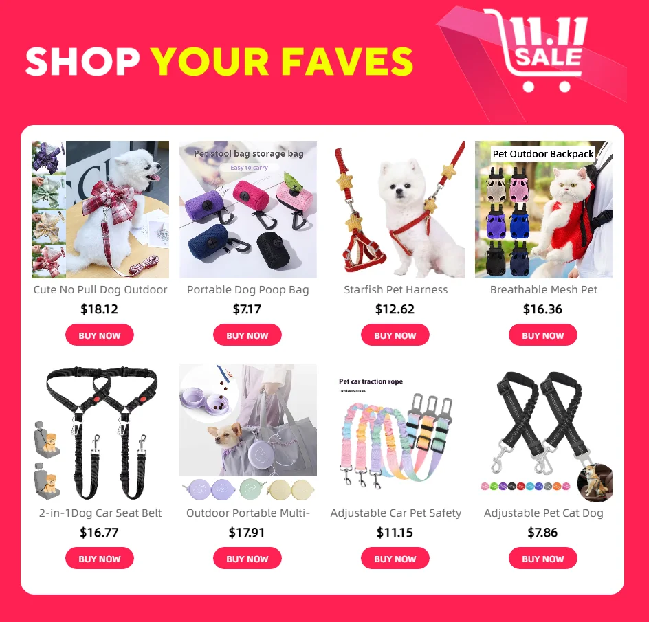 Pet Harness and Leash Set - Small