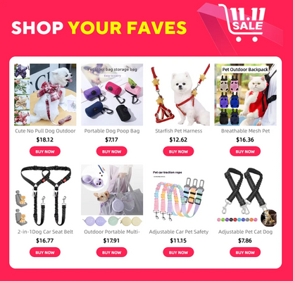 Pet Harness and Leash Set - Small