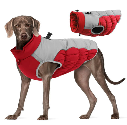 Premium Dog Jacket for Winter