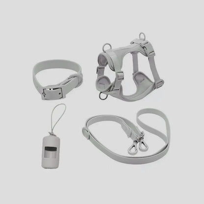 Dog Harness and Leash