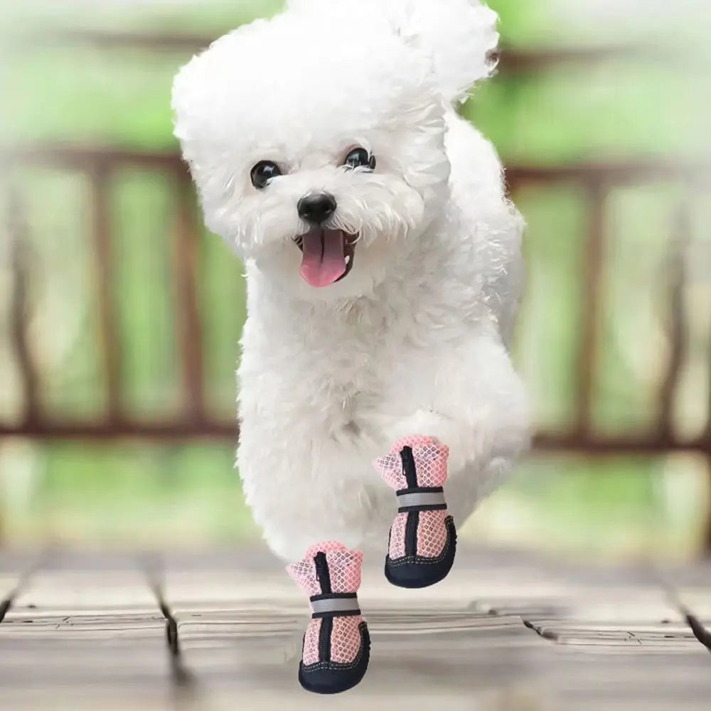 Soft Dog Mesh Shoes