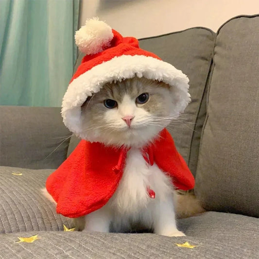 Kitty Christmas Cape