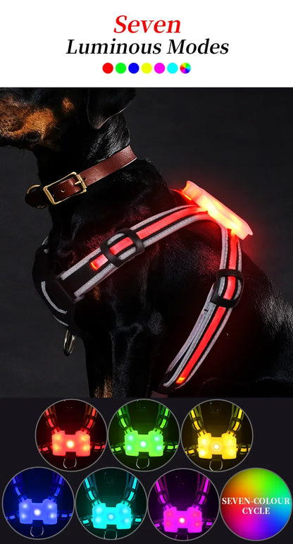 Rechargeable Waterproof Doggy LED Harness