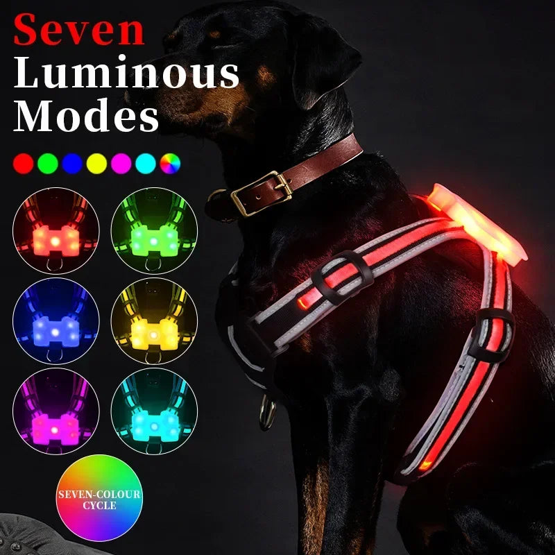 Rechargeable Waterproof Doggy LED Harness