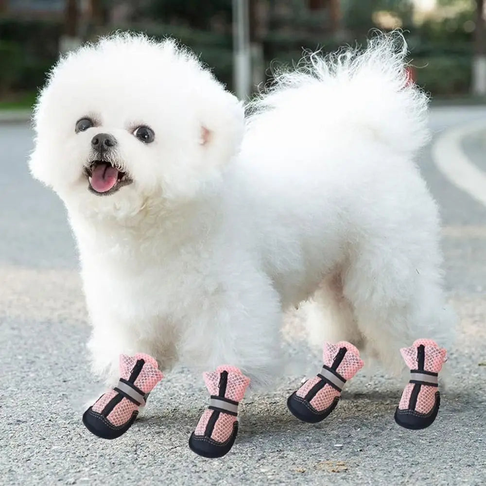 Soft Dog Mesh Shoes