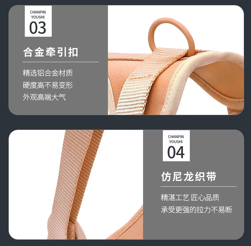 Dog Harness and Leash