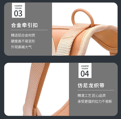 Dog Harness and Leash