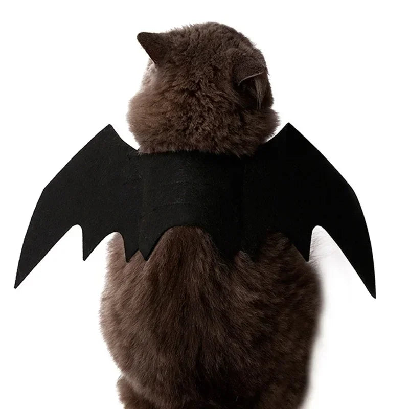 Cat Bat Wings Carrier Costume