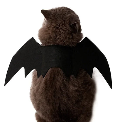 Cat Bat Wings Carrier Costume