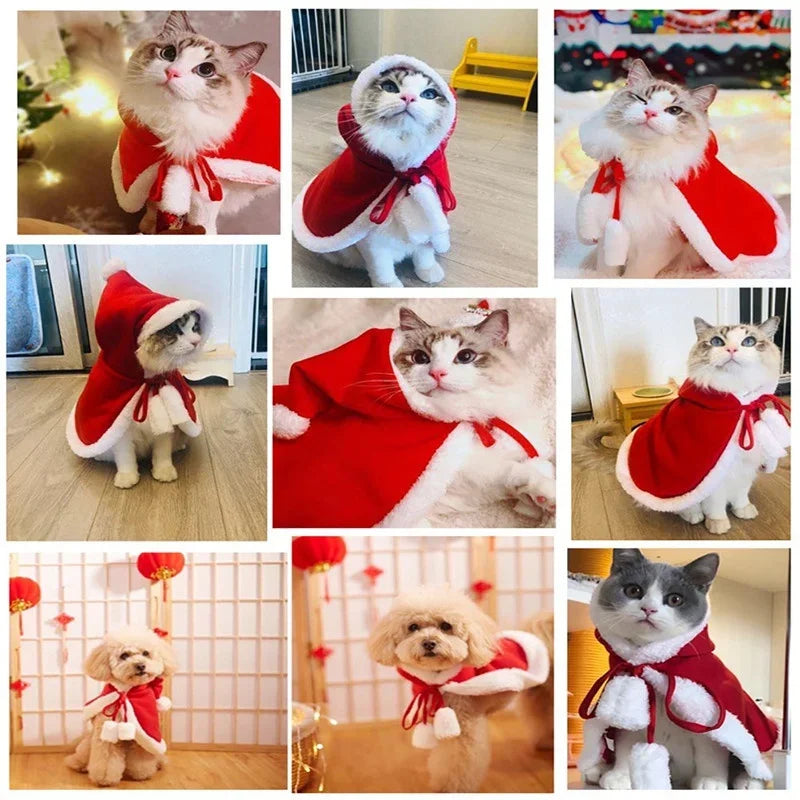Caat/Dog Christmas Costume