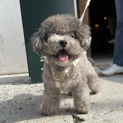 Pet Harness and Leash Set - Small