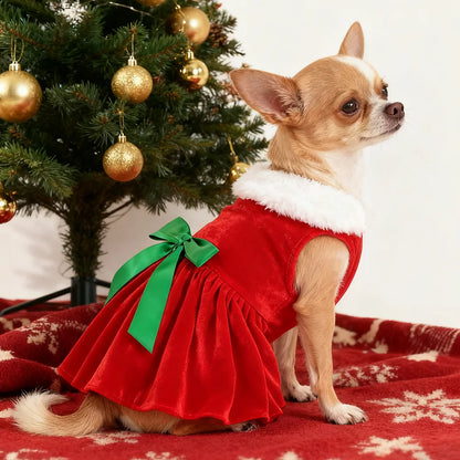 Doggy Christmas Dress