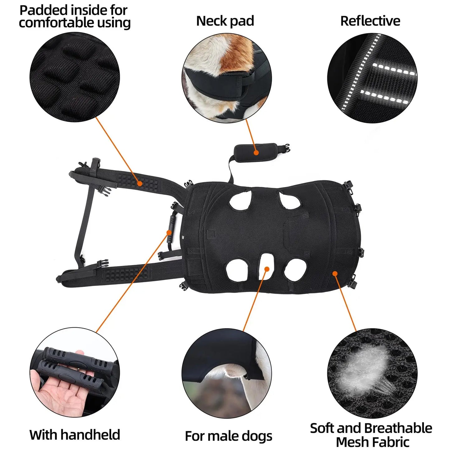 Large Doggy Backpack Carrier