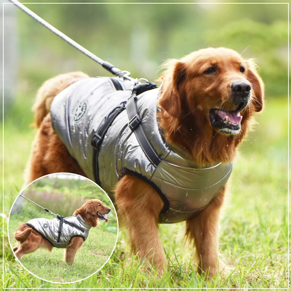 Winter Warm Doggy Jacket with Harness