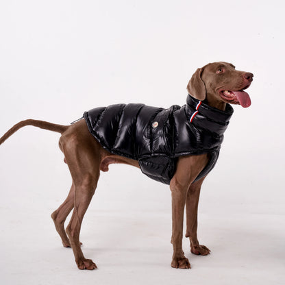 Doggy Raincoat