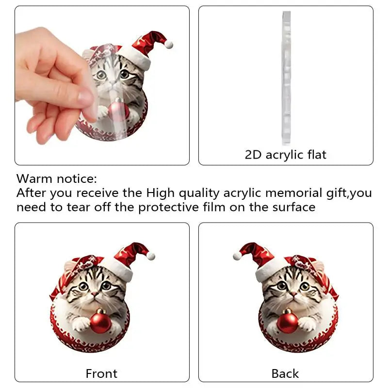 Cat Advent Calendar – 24 Days Christmas Countdown