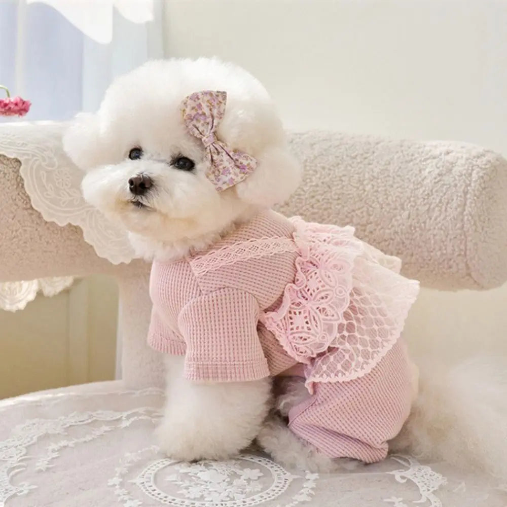 Pup Lace Camisole Jumpsuit