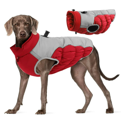 Premium Dog Jacket for Winter