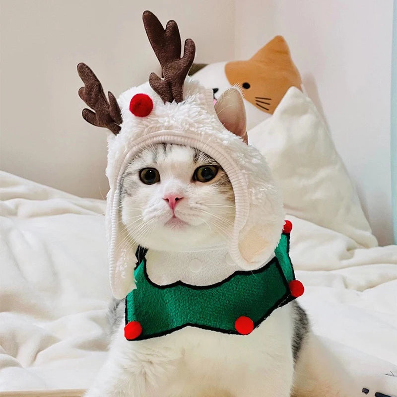 Kitty/Doggy Christmas Costume