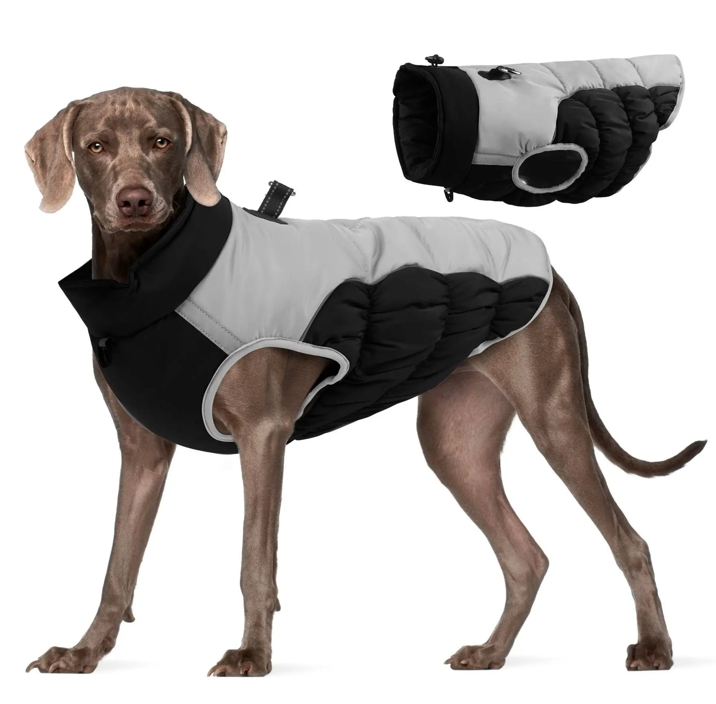 Premium Dog Jacket for Winter