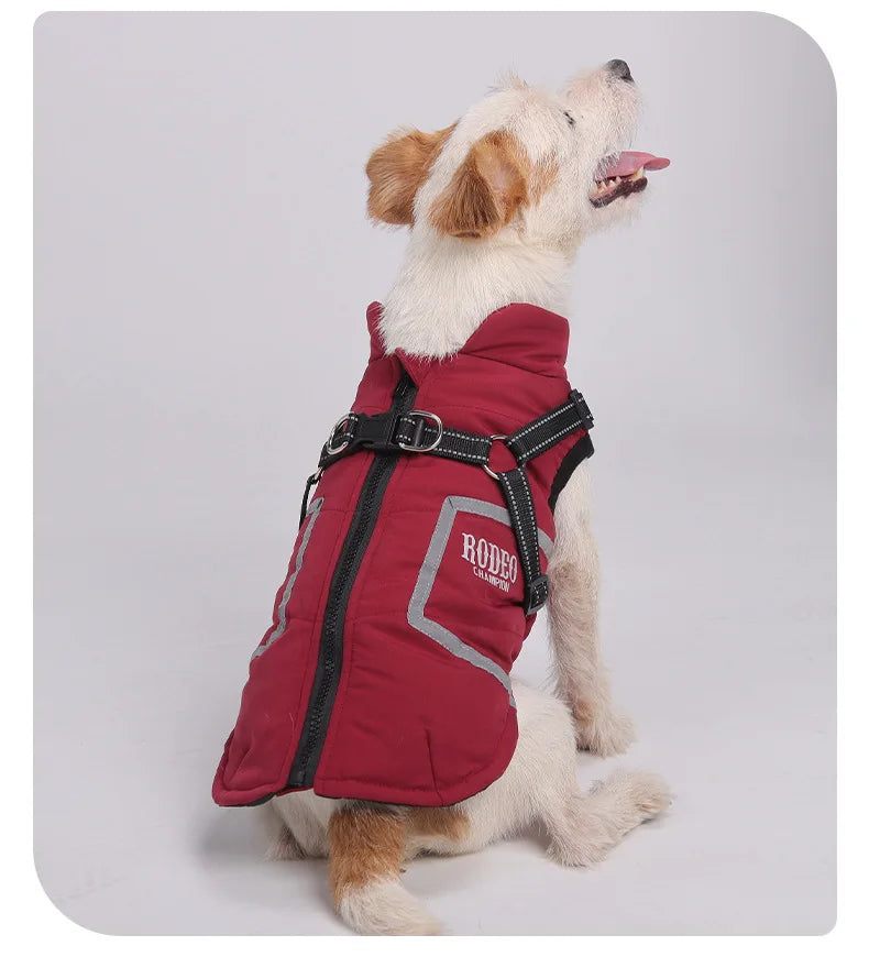 Premium All-Weather Dog Jacket with Harness