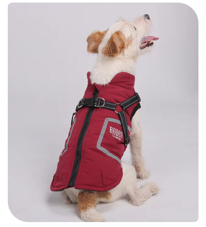Premium All-Weather Dog Jacket with Harness