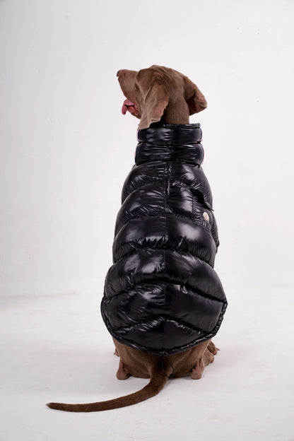 Paw-Dream Doggy Raincoat
