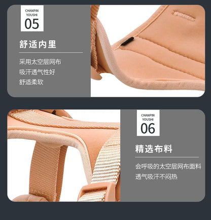 Dog Harness and Leash