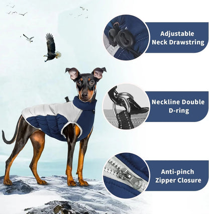 Premium Dog Jacket for Winter