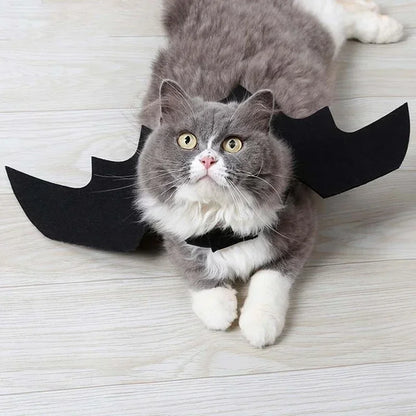 Cat Bat Wings Carrier Costume