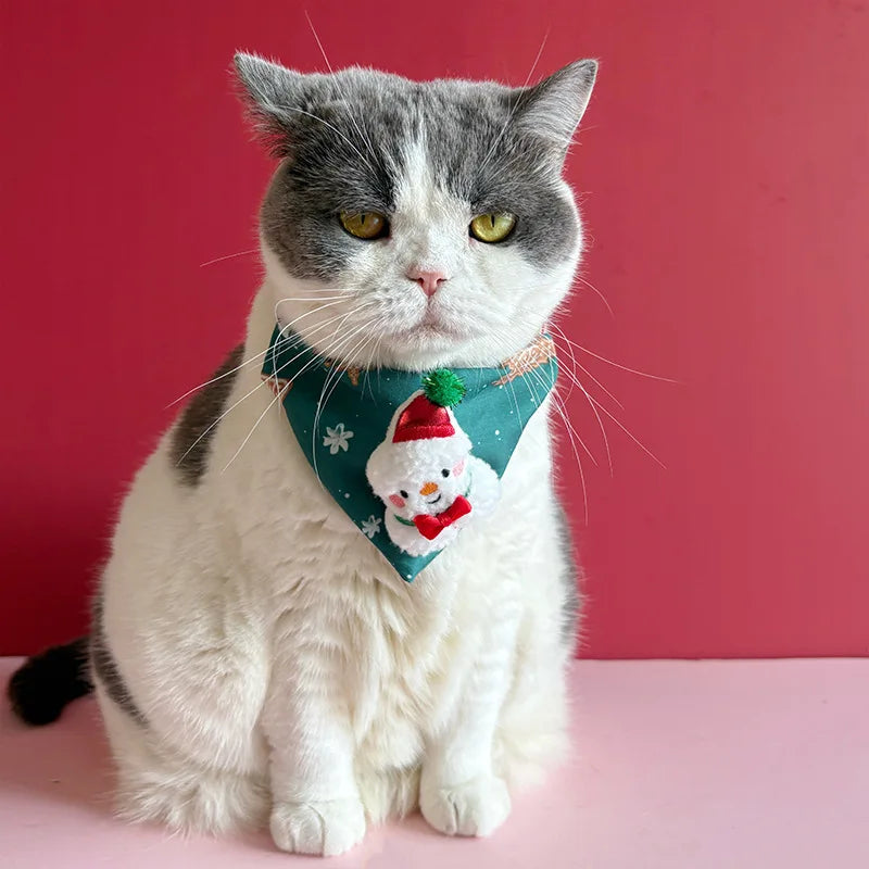 Kitty Christmas Collar