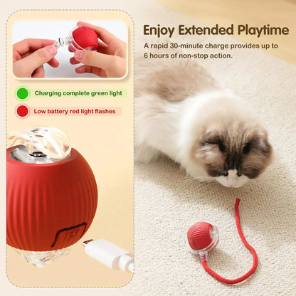 Rechargeable Cat/Dog Toy