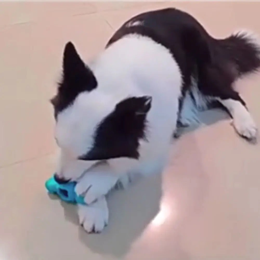 Bite-resistant Pet Chew Toy