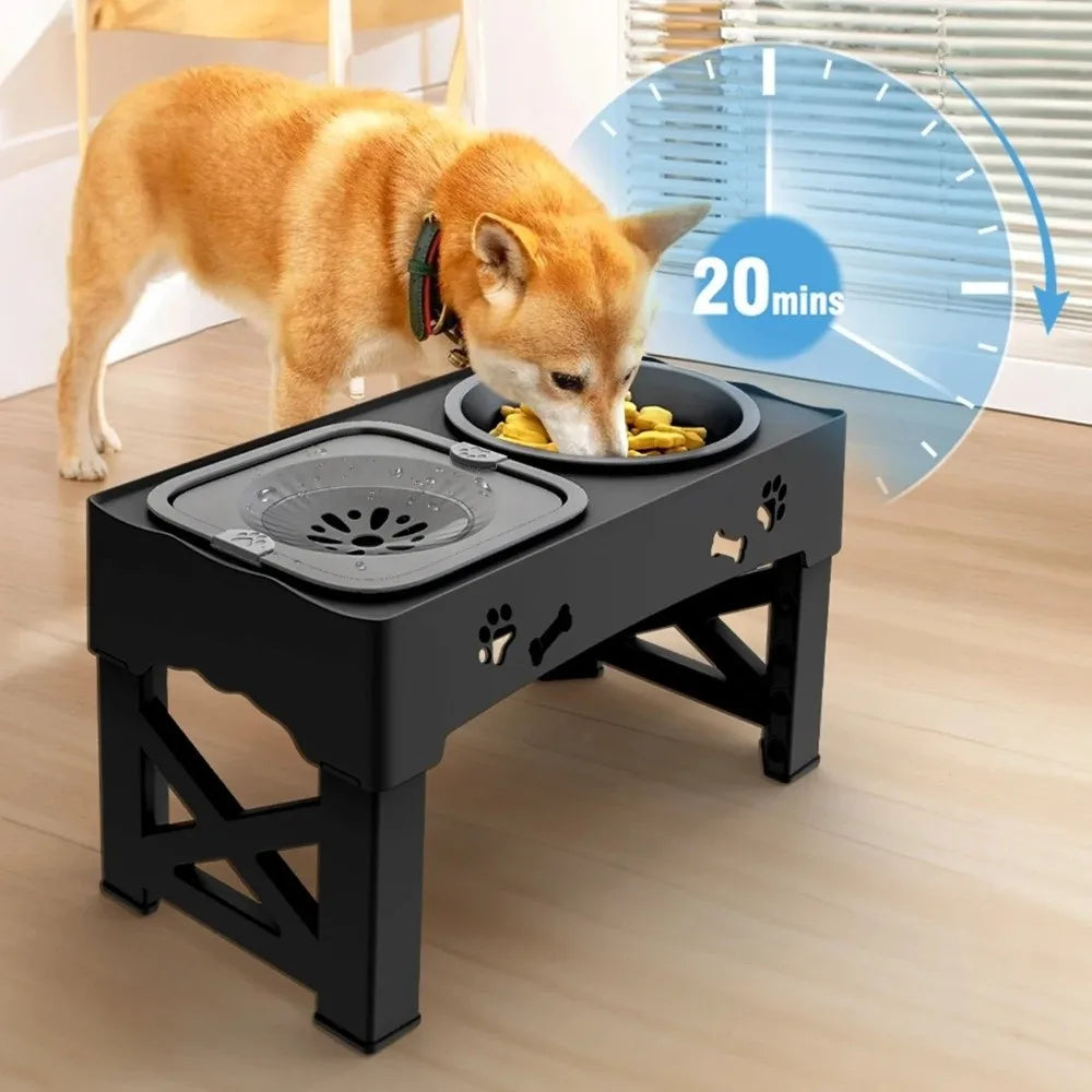 Premium 3 in 1 Adjustable Pet Feeder