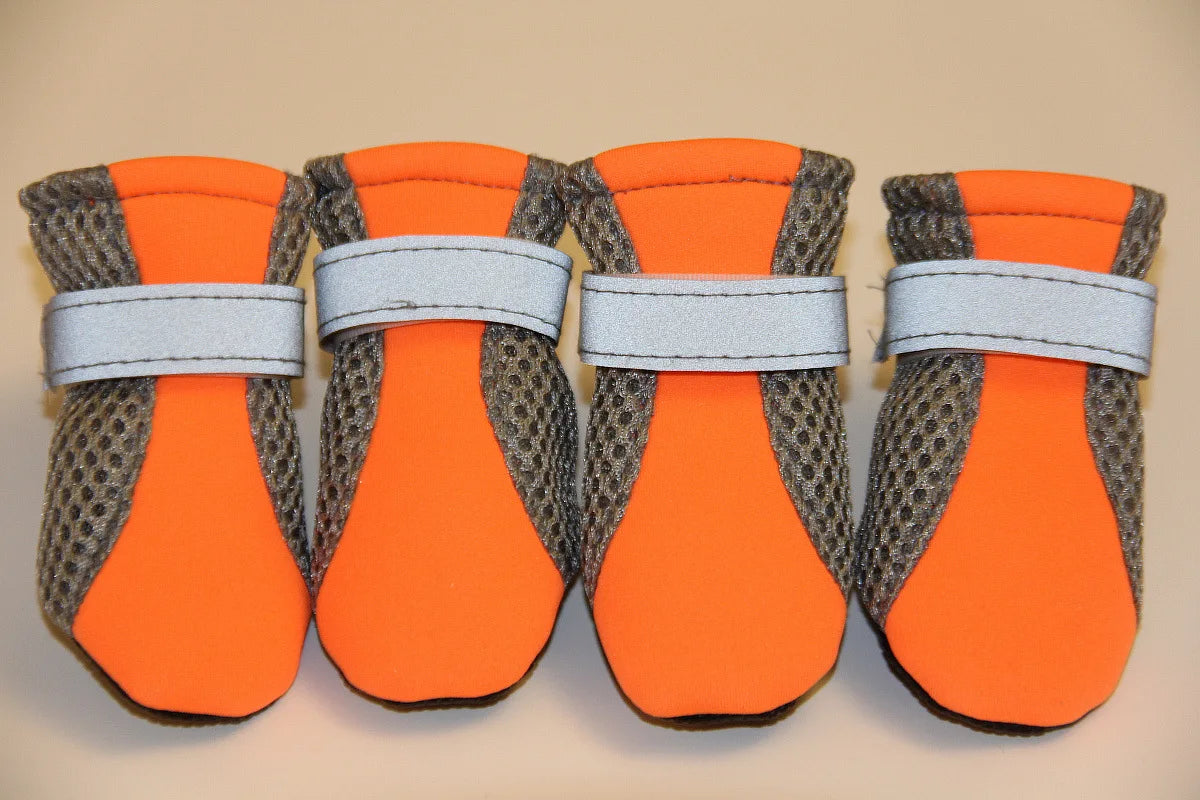Puppy Outdoor Shoes