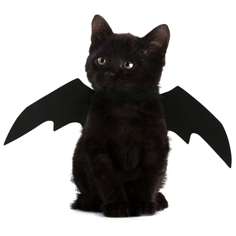Cat Bat Wings Carrier Costume