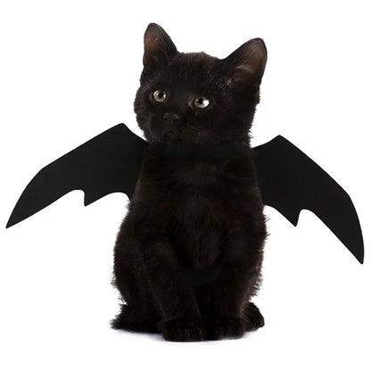 Cat Bat Wings Carrier Costume