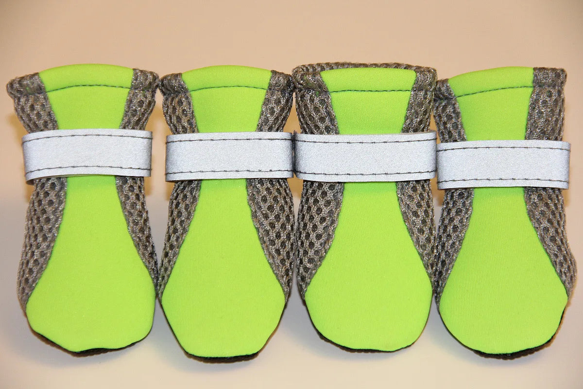Puppy Outdoor Shoes