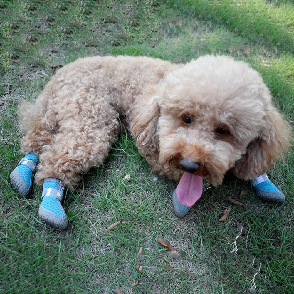 4Pcs Pet Shoes