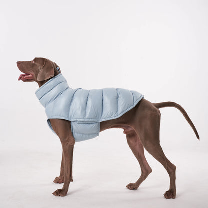 Paw-Dream Doggy Raincoat