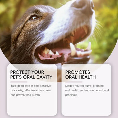 Cat/Dog Cleaning Toothbrush